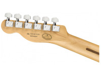 Fender  Limited Edition Player Burgundy Mist Maple